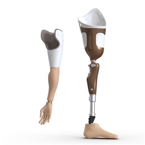 3d Prosthetic Leg Arm Model
