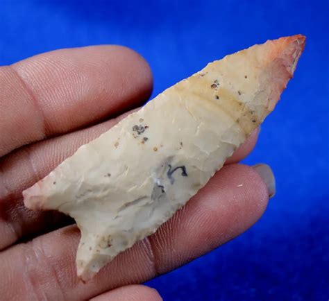Authentic Dalton Indian Arrowhead Spear Point Artifact Paleo