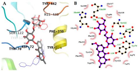 Molecules Free Full Text Structure Related Inhibition Of Enzyme