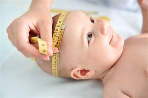 Small Childs Head Circumference Pathological Or Transient