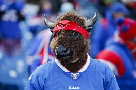 Bills Fans Among Heaviest Game Day Drinkers In Nfl Study Finds