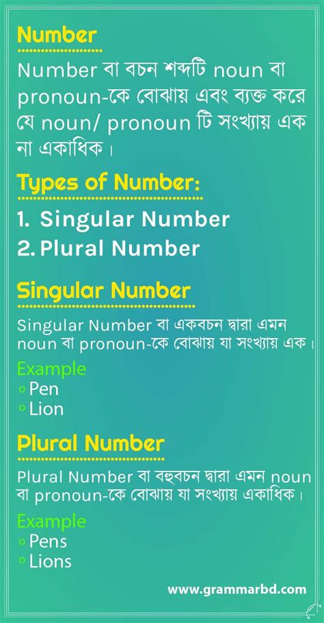 Agreement affixes on adjectives, pronouns, numerals, etc. Number | Pronoun examples, Nouns and pronouns, Singular nouns