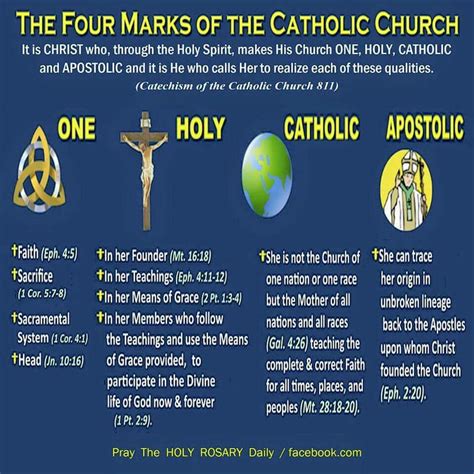 4 Marks Of The Catholic Church What Makes Us Who We Are St Anthony