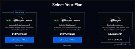 Everything To Know About Hulu Disney Plus Bundle