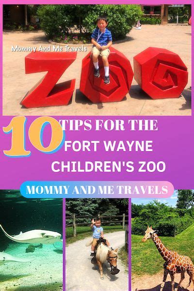 10 Planning Tips For Fort Wayne Childrens Zoo In 2020 Fort Wayne