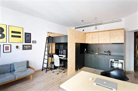 Lofty Loft Beds Tiny Studio Apartment