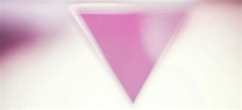 The Pink Triangle From Nazi Label To Symbol Of Gay Pride History
