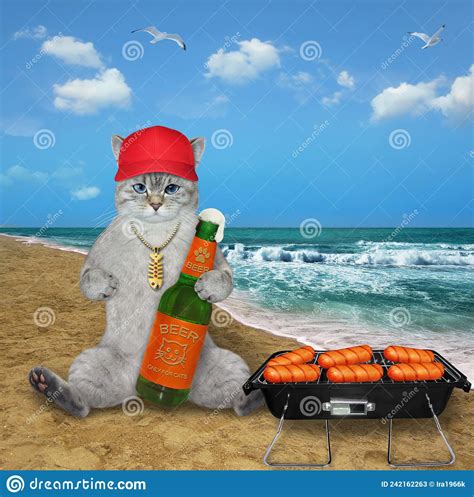 Cat Ashen Drinks Beer With Sausage On Beach Stock Image Image Of