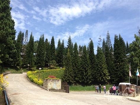 Kinabalu pine resorts konaklamanızda ranau bölgesinde, kundasang savaş anıtı ile 0,8 km (0,5 mi) ve poring sıcak kaplıcası ile 32,5 km (20,2 mi) mesafede olacaksınız. Kinabalu Pine Resort - Amazing Borneo Tours