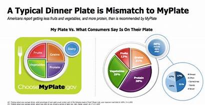 Survey Guidelines Dietary Plate Americans Health Myplate