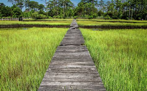Boardwalk Over The Marsh Photograph By Marcy Wielfaert Pixels