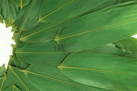 粽子) or simply zong (cantonese jyutping: 端午端午节绿色粽叶包粽子高清图片下载-正版图片500360330-摄图网