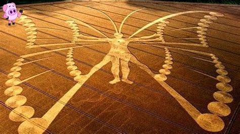10 Amazing Crop Circles That Have Left Authorities Stunned Crop