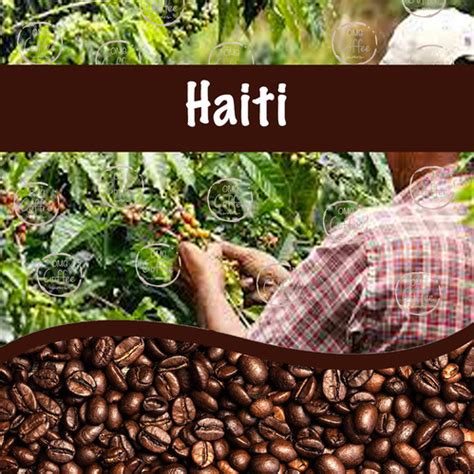 Haiti Coffee Omg Coffee Company