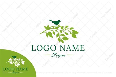 Tree Bird Logo