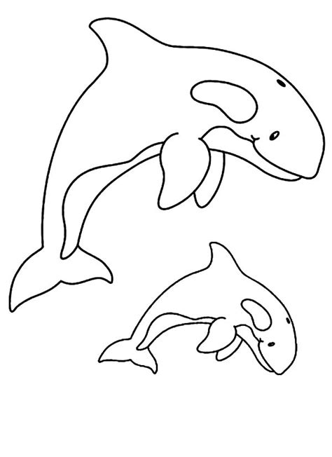 Free educational coloring pages and activities for kids. Killer whale coloring pages to download and print for free