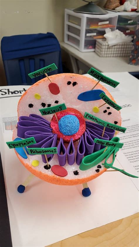 We did not find results for: Made by Teachers: Animal Cell Model 6th Grade