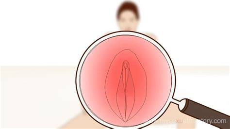 Female Orgasm Explained Porn Video