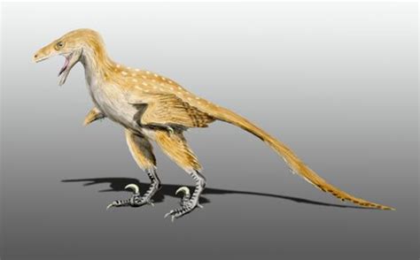 All songs written by bambiraptor. The 7 Most Badass Dinosaurs Ever
