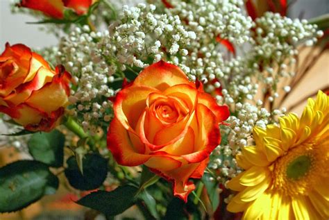 Luxury bridal bouquet with calla lilies and peony roses. Yellow Flowers Bouquet|http://refreshrose.blogspot.com/