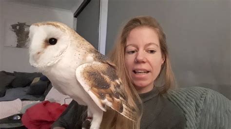Owl Eye Anatomy
