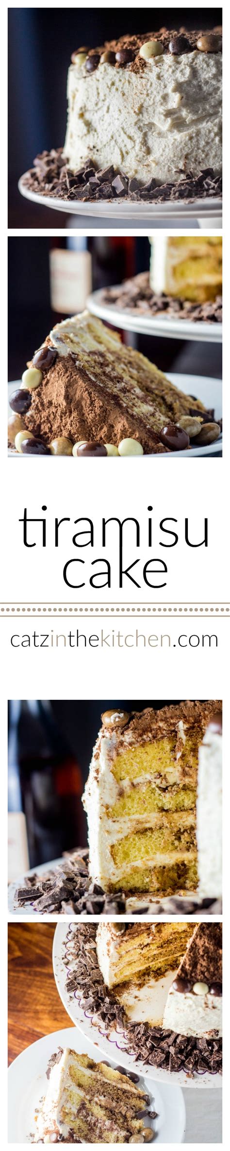 Tiramisu Cake Catz In The Kitchen