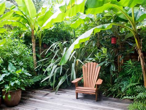 You Dont Need To Live In The Tropics To Create A Lush Retreat Hgtv