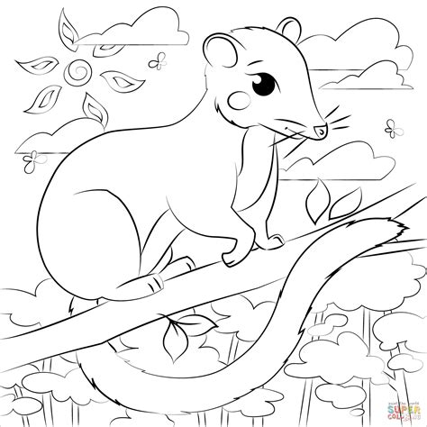 Possum Coloring Page Free Printable Coloring Pages