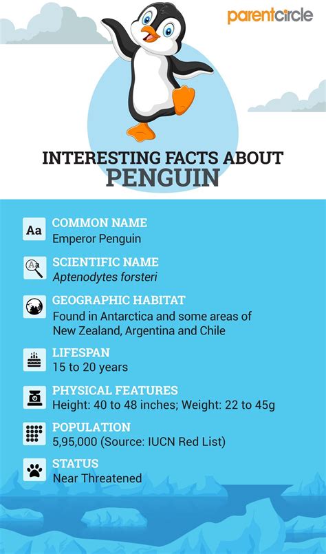 penguin-facts-for-kids-interesting-fun-information-about-penguins