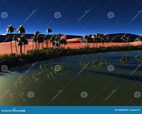 African Oasis Stock Image Image Of Dune Beautiful Plant 35026093