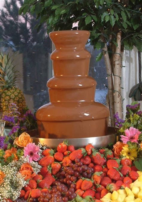 Chocolate Fountain Everyone Would Enjoy This Chocolate Fondue