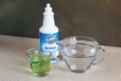 Do not use bleach for ringworm. Use of Clorox in Treating Ringworm (with Pictures) | eHow
