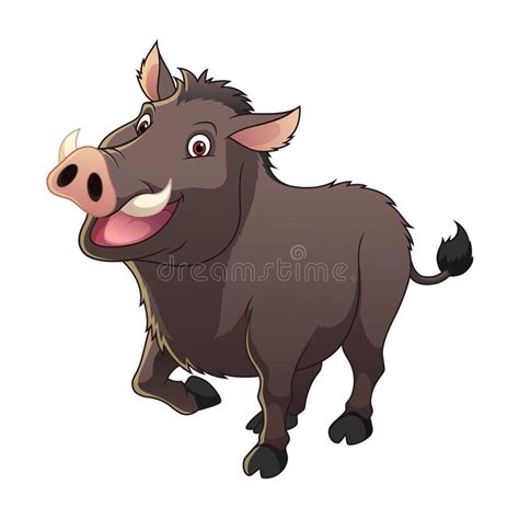 Wild Boar Coloring Page Stock Illustrations 110 Wild Boar Coloring