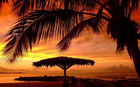 Nature Landscape Sunset Umbrella Beach Palm Trees Sea Clouds