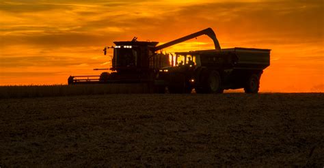Harvest Season Shows Farmer Work Ethic