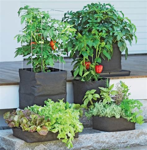 The Best Grow Bags For Outdoor Container Gardening