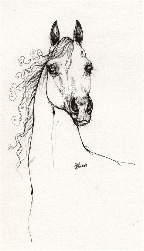 Cheval pur sang arabe oeuvre art portrait équestre dessin  Etsy