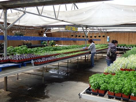 Our stores remain open, albeit with reduced hours and only for curbside pickup or. Lowe's Garden Center, Minot ND