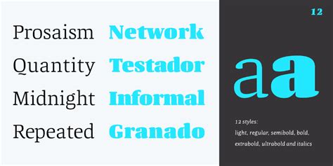 Quador Webfont And Desktop Font Myfonts Contemporary Typography