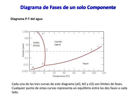 Diagrama De Fases De Un Componente Ejemplos Luis E Brito Rodríguez