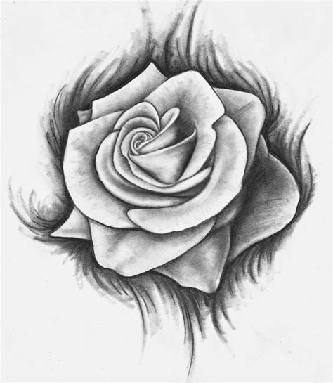 Rose Drawing ~ The All Image