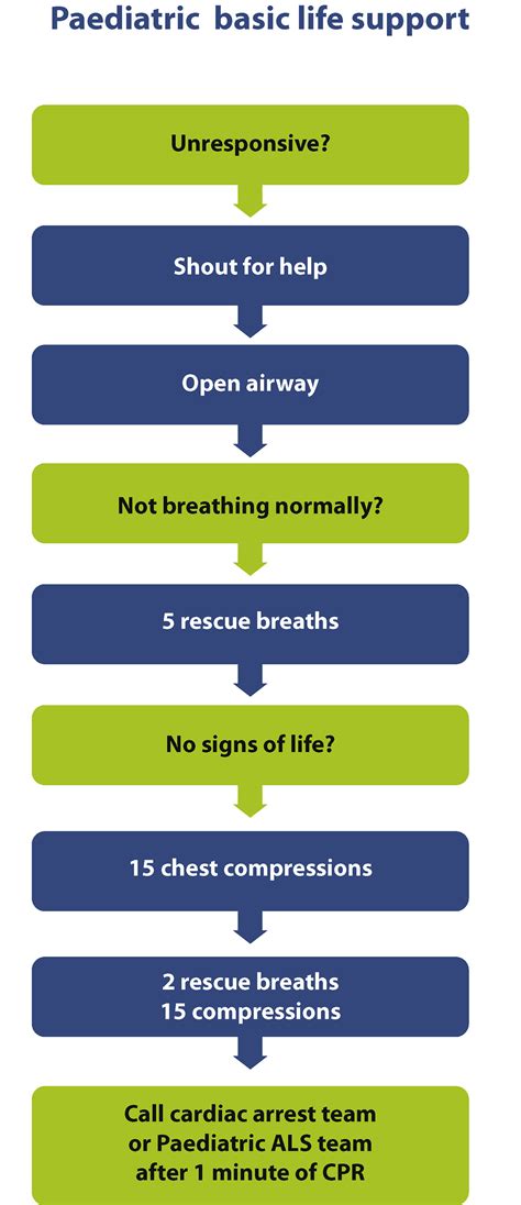 European Resuscitation Council Guidelines For Resuscitation 2015