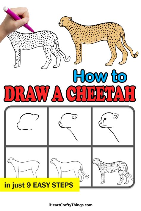 How To Draw A Cheetah Step By - Nerveaside16