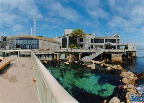 The aquarium contains various aquatic life to include fish, octopus, penguins and sea otters. Monterey Aquarium - Monterey Bay Aquarium