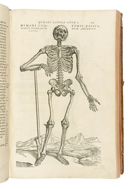 Andreas Vesalius 1514 1564 De Humani Corporis Fabrica 1555