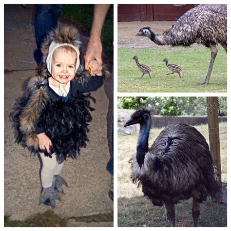 Emu Costume Diy