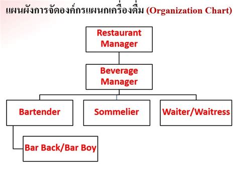 รายวิชา Introduction To Mixology And Wine P หัวข้อ Organization Chart
