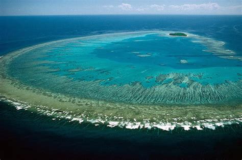 Greatness, being divine, majestic, superior, majestic, or transcendent. Great Barrier Reef durch Klimawandel stark gefährdet ...