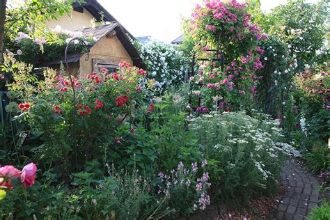 カメラマンが訪ねた感動の花の庭。オープンガーデンのリーダーが丹精する庭 長野・稲葉邸 Gardenstory ガーデンストーリー