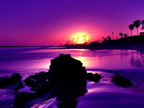 Amazing Purple Sunset Beach High Definition Wallpaper